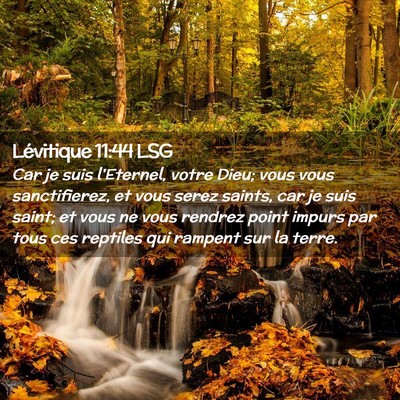 Picture 02 - Lévitique 11:44 LSG - Car je suis l'Eternel, votre Dieu; vous vous - Bible Verse Picture