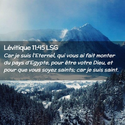 Picture 02 - Lévitique 11:45 LSG - Car je suis l'Eternel, qui vous ai fait monter du - Bible Verse Picture