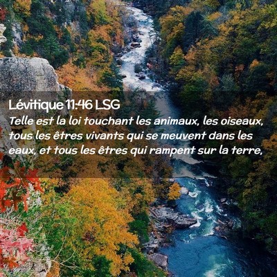 Picture 02 - Lévitique 11:46 LSG - Telle est la loi touchant les animaux, les - Bible Verse Picture