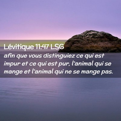 Picture 02 - Lévitique 11:47 LSG - afin que vous distinguiez ce qui est impur et ce - Bible Verse Picture