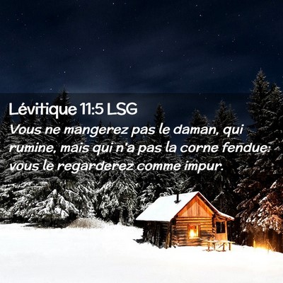 Picture 02 - Lévitique 11:5 LSG - Vous ne mangerez pas le daman, qui rumine, mais - Bible Verse Picture