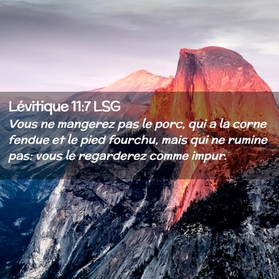 Picture 02 - Lévitique 11:7 LSG - Vous ne mangerez pas le porc, qui a la corne - Bible Verse Picture