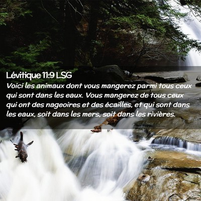 Picture 02 - Lévitique 11:9 LSG - Voici les animaux dont vous mangerez parmi tous - Bible Verse Picture