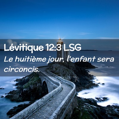 Picture 02 - Lévitique 12:3 LSG - Le huitième jour, l'enfant sera - Bible Verse Picture