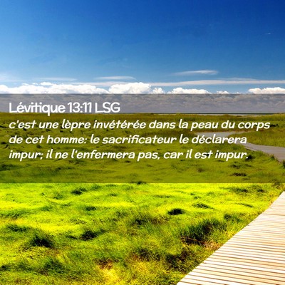 Picture 02 - Lévitique 13:11 LSG - c'est une lèpre invétérée dans la peau du - Bible Verse Picture