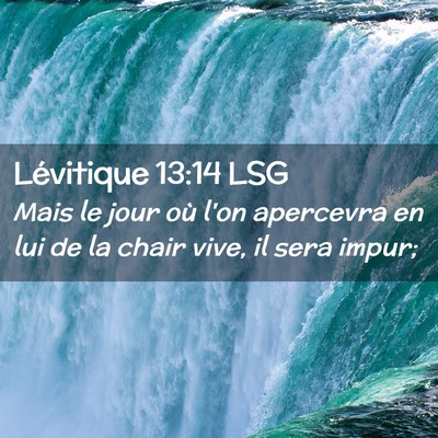 Picture 02 - Lévitique 13:14 LSG - Mais le jour où l'on apercevra en lui de la - Bible Verse Picture