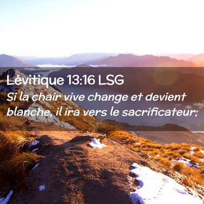 Picture 02 - Lévitique 13:16 LSG - Si la chair vive change et devient blanche, il - Bible Verse Picture