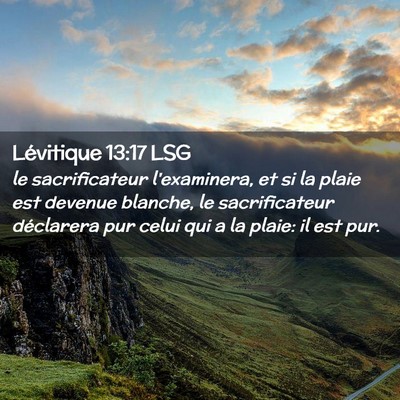 Picture 02 - Lévitique 13:17 LSG - le sacrificateur l'examinera, et si la plaie est - Bible Verse Picture
