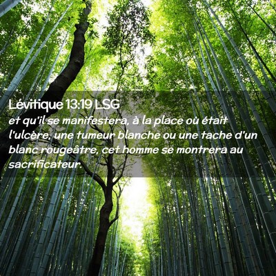 Picture 02 - Lévitique 13:19 LSG - et qu'il se manifestera, à la place où était - Bible Verse Picture