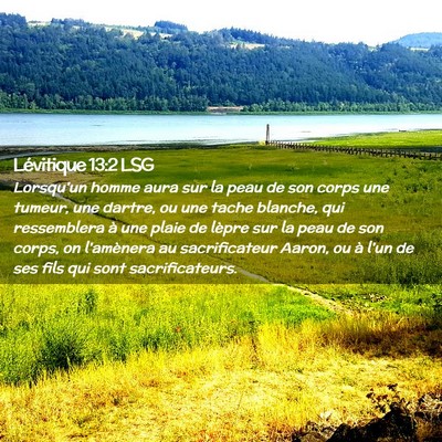 Picture 02 - Lévitique 13:2 LSG - Lorsqu'un homme aura sur la peau de son corps une - Bible Verse Picture