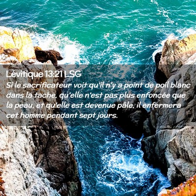 Picture 02 - Lévitique 13:21 LSG - Si le sacrificateur voit qu'il n'y a point de - Bible Verse Picture
