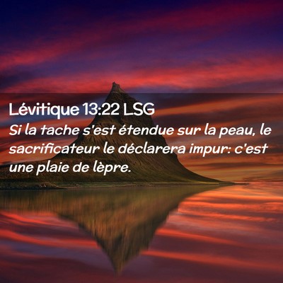 Picture 02 - Lévitique 13:22 LSG - Si la tache s'est étendue sur la peau, le - Bible Verse Picture