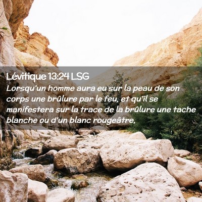 Picture 02 - Lévitique 13:24 LSG - Lorsqu'un homme aura eu sur la peau de son corps - Bible Verse Picture