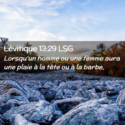 Picture 02 - Lévitique 13:29 LSG - Lorsqu'un homme ou une femme aura une plaie à la - Bible Verse Picture