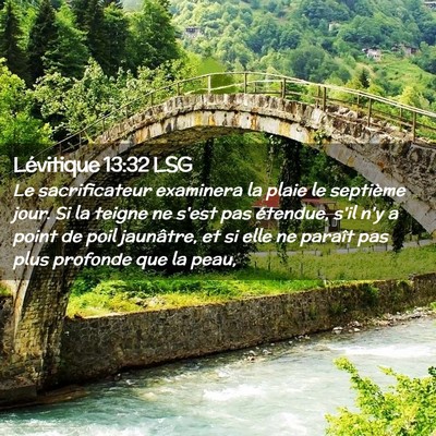 Picture 02 - Lévitique 13:32 LSG - Le sacrificateur examinera la plaie le septième - Bible Verse Picture