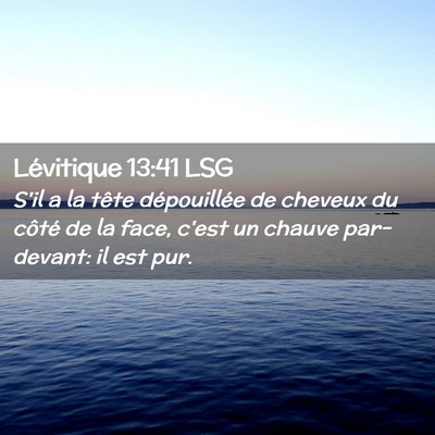 Picture 02 - Lévitique 13:41 LSG - S'il a la tête dépouillée de cheveux du côté - Bible Verse Picture