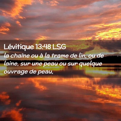 Picture 02 - Lévitique 13:48 LSG - la chaîne ou à la trame de lin, ou de laine, - Bible Verse Picture