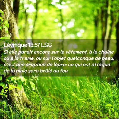 Picture 02 - Lévitique 13:57 LSG - Si elle paraît encore sur le vêtement, à la - Bible Verse Picture