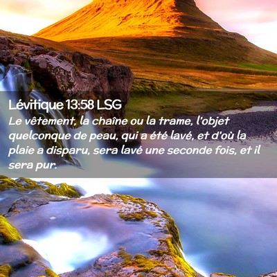 Picture 02 - Lévitique 13:58 LSG - Le vêtement, la chaîne ou la trame, l'objet - Bible Verse Picture
