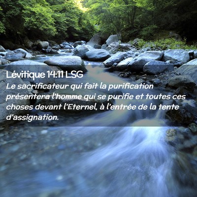 Picture 02 - Lévitique 14:11 LSG - Le sacrificateur qui fait la purification - Bible Verse Picture
