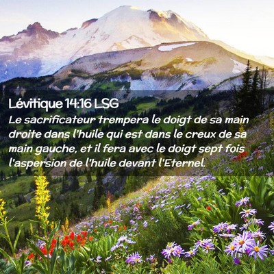 Picture 02 - Lévitique 14:16 LSG - Le sacrificateur trempera le doigt de sa main - Bible Verse Picture