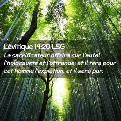 Picture 02 - Lévitique 14:20 LSG - Le sacrificateur offrira sur l'autel l'holocauste - Bible Verse Picture