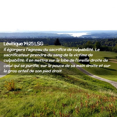 Picture 02 - Lévitique 14:25 LSG - Il égorgera l'agneau du sacrifice de - Bible Verse Picture