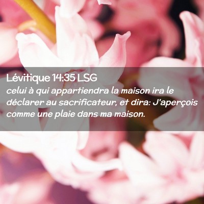 Picture 02 - Lévitique 14:35 LSG - celui à qui appartiendra la maison ira le - Bible Verse Picture