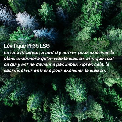 Picture 02 - Lévitique 14:36 LSG - Le sacrificateur, avant d'y entrer pour examiner - Bible Verse Picture