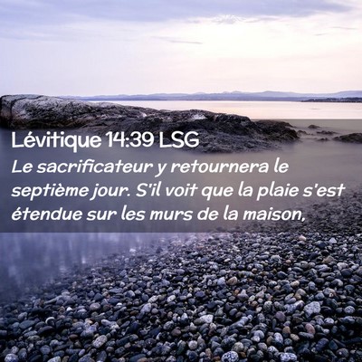 Picture 02 - Lévitique 14:39 LSG - Le sacrificateur y retournera le septième jour. - Bible Verse Picture