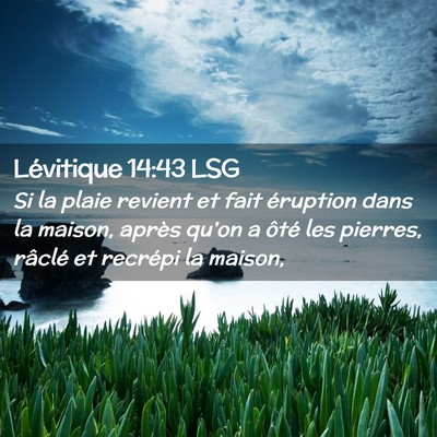 Picture 02 - Lévitique 14:43 LSG - Si la plaie revient et fait éruption dans la - Bible Verse Picture