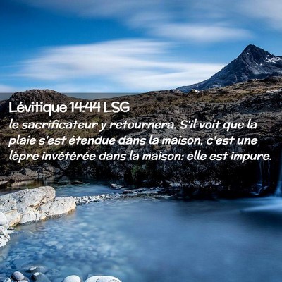 Picture 02 - Lévitique 14:44 LSG - le sacrificateur y retournera. S'il voit que la - Bible Verse Picture