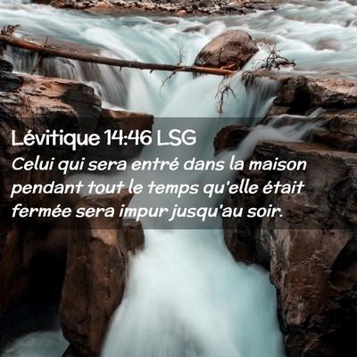 Picture 02 - Lévitique 14:46 LSG - Celui qui sera entré dans la maison pendant tout - Bible Verse Picture