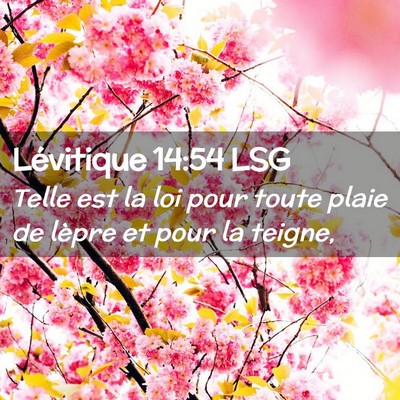 Picture 02 - Lévitique 14:54 LSG - Telle est la loi pour toute plaie de lèpre et - Bible Verse Picture