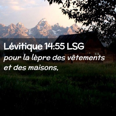Picture 02 - Lévitique 14:55 LSG - pour la lèpre des vêtements et des - Bible Verse Picture