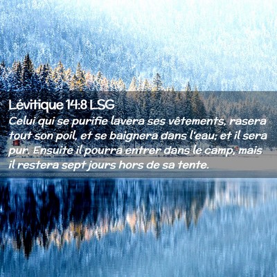 Picture 02 - Lévitique 14:8 LSG - Celui qui se purifie lavera ses vêtements, - Bible Verse Picture