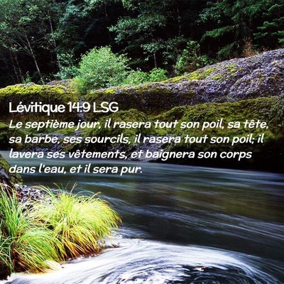 Picture 02 - Lévitique 14:9 LSG - Le septième jour, il rasera tout son poil, sa - Bible Verse Picture
