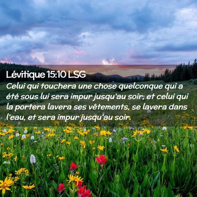 Picture 02 - Lévitique 15:10 LSG - Celui qui touchera une chose quelconque qui a - Bible Verse Picture