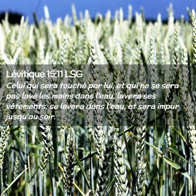 Picture 02 - Lévitique 15:11 LSG - Celui qui sera touché par lui, et qui ne se sera - Bible Verse Picture