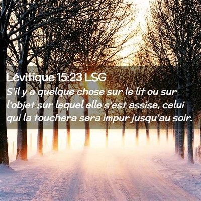 Picture 02 - Lévitique 15:23 LSG - S'il y a quelque chose sur le lit ou sur l'objet - Bible Verse Picture