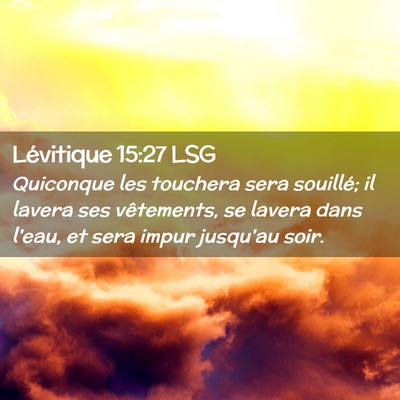 Picture 02 - Lévitique 15:27 LSG - Quiconque les touchera sera souillé; il lavera - Bible Verse Picture