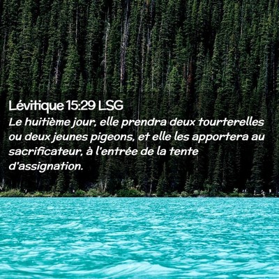 Picture 02 - Lévitique 15:29 LSG - Le huitième jour, elle prendra deux tourterelles - Bible Verse Picture