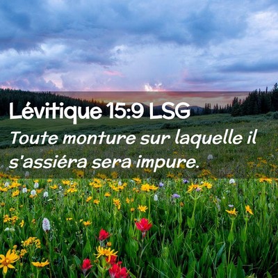 Picture 02 - Lévitique 15:9 LSG - Toute monture sur laquelle il s'assiéra sera - Bible Verse Picture
