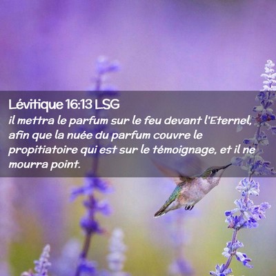 Picture 02 - Lévitique 16:13 LSG - il mettra le parfum sur le feu devant l'Eternel, - Bible Verse Picture