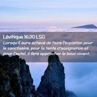 Picture 02 - Lévitique 16:20 LSG - Lorsqu'il aura achevé de faire l'expiation pour - Bible Verse Picture