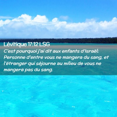 Picture 02 - Lévitique 17:12 LSG - C'est pourquoi j'ai dit aux enfants d'Israël: - Bible Verse Picture