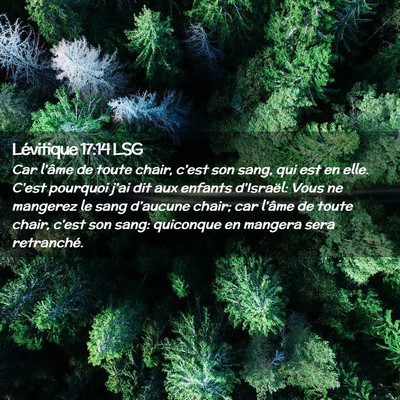 Picture 02 - Lévitique 17:14 LSG - Car l'âme de toute chair, c'est son sang, qui - Bible Verse Picture