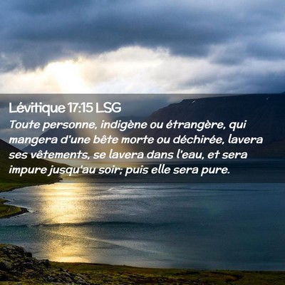 Picture 02 - Lévitique 17:15 LSG - Toute personne, indigène ou étrangère, qui - Bible Verse Picture