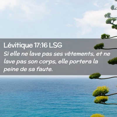 Picture 02 - Lévitique 17:16 LSG - Si elle ne lave pas ses vêtements, et ne lave - Bible Verse Picture