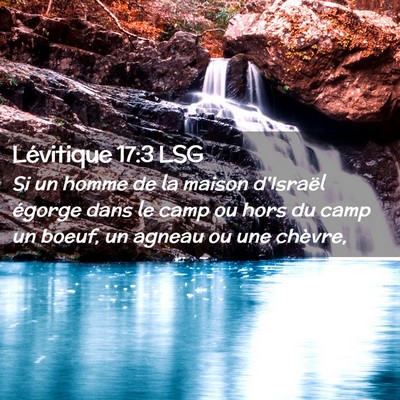 Picture 02 - Lévitique 17:3 LSG - Si un homme de la maison d'Israël égorge dans - Bible Verse Picture